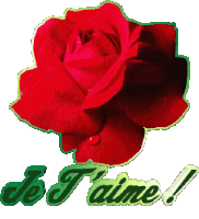 Gif animé je t'aime rose